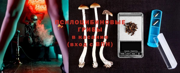 ешки Переславль-Залесский